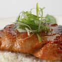 Miso Salmon on Random Best Things To Eat At Cheesecake Factory