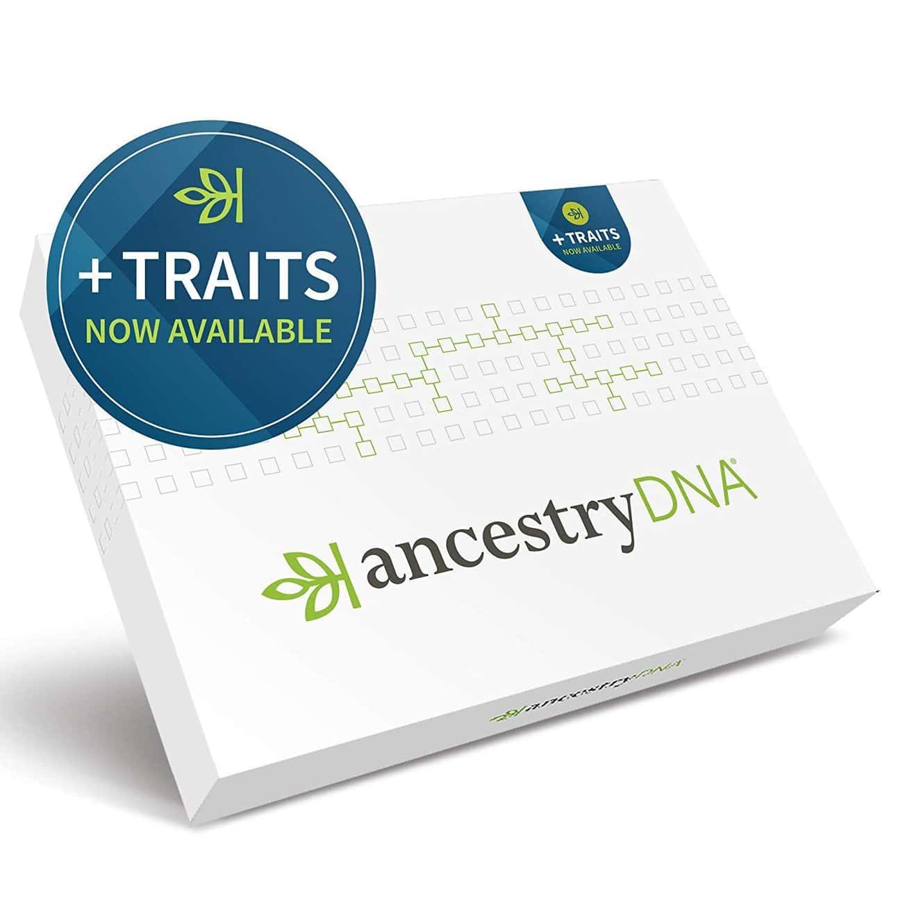 AncestryDNA: Genetic Testing Ethnicity + Traits