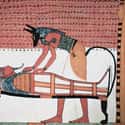 Anubis, The God Of Mummification, Wanted A Piece Of Everyone He Helped on Random Creepiest Myths And Legends From Ancient Egypt