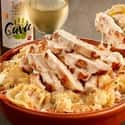 Asiago Tortelloni Alfredo with Grilled Chicken on Random Best Things To Eat At Olive Garden