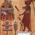 Pregnant Women Prayed To The Demon Hippo Goddess Taweret on Random Creepiest Myths And Legends From Ancient Egypt