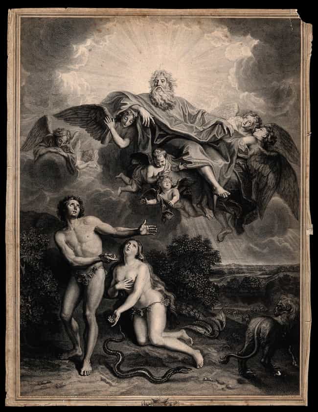 The Testimony Of Truth Gospel Where The Serpent Is The Good Guy