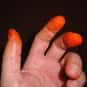 Food with Cheetos dust o... is listed (or ranked) 8 on the list Fads You Hope Fade In 2019