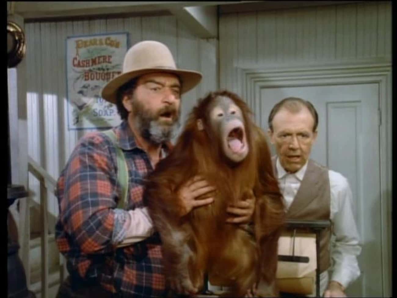 Mr. Edwards Adopts An Orangutan
