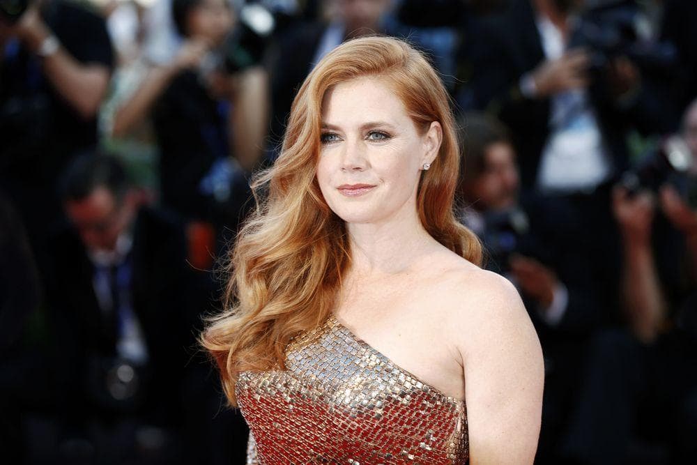 Things You Didn't Know About Amy Adams