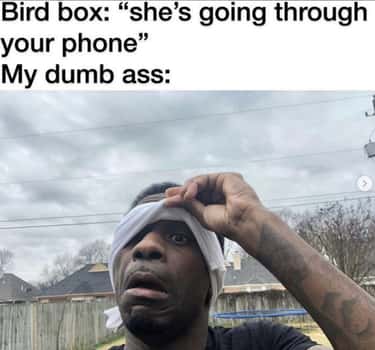 The New Netflix Horror Film Bird Box Isn T Bad But The Memes Are Even Better
