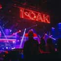 1 OAK Nightclub on Random Best Nightclubs In Las Vegas