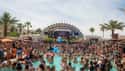 Daylight Beach Club on Random Best Day Clubs In Las Vegas