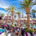 Drai's Beachclub on Random Best Day Clubs In Las Vegas