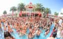Encore Beach Club on Random Best Day Clubs In Las Vegas