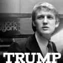 Trump: An American Dream on Random Best Political Documentaries Streaming on Netflix