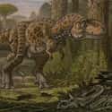 The Time Between The Existence Of Stegosaurus And T-Rex Is Longer Than The Span Separating Humans And Dinosaurs on Random Mind-Blowing Facts About Dinosaurs That Make Us Question Everything