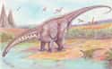 Apatosaurus Could Break The Sound Barrier With Its Tail on Random Mind-Blowing Facts About Dinosaurs That Make Us Question Everything