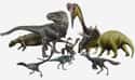Dinosaurs Had One Orifice For Waste And Reproduction on Random Mind-Blowing Facts About Dinosaurs That Make Us Question Everything