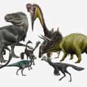 Dinosaurs Had One Orifice For Waste And Reproduction on Random Mind-Blowing Facts About Dinosaurs That Make Us Question Everything