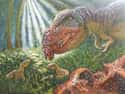 Dinosaurs Grew Quickly And Built Muscle While Still In Their Eggs on Random Mind-Blowing Facts About Dinosaurs That Make Us Question Everything