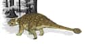 Ankylosaurus Cooled Off Through Its Nostrils on Random Mind-Blowing Facts About Dinosaurs That Make Us Question Everything