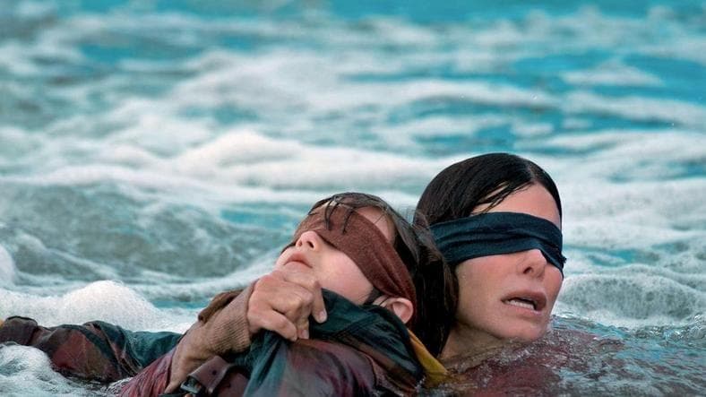 The Bird Box Challenge: Don't Mistake a Blindfold for Blindness