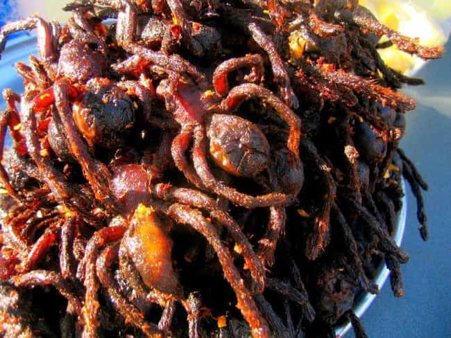 The Strangest Things You Can Eat At The Disgusting Food Museum