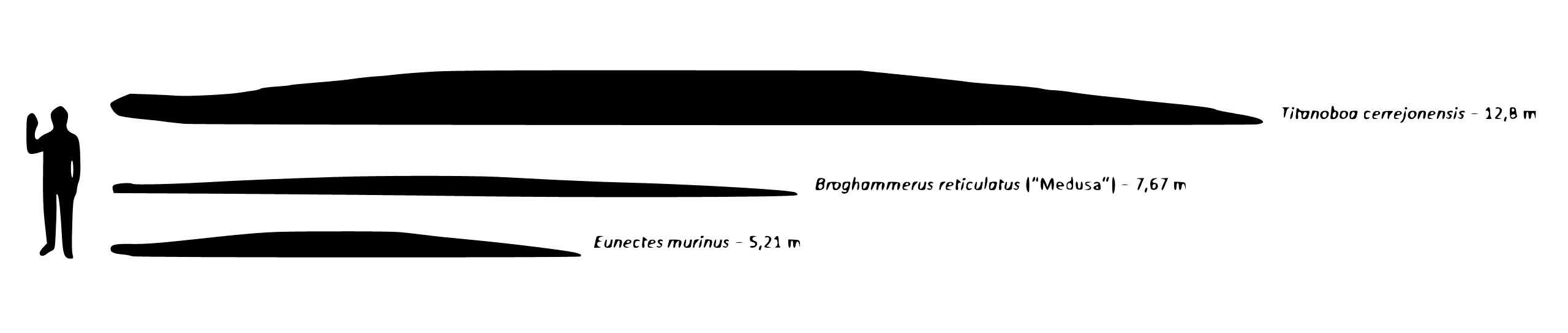 The Prehistoric Snake Was As L is listed (or ranked) 5 on the list Inside The Coal Mine That Revealed Proof Of A Prehistoric Mega-Snake In A Land Of Enormous Reptiles