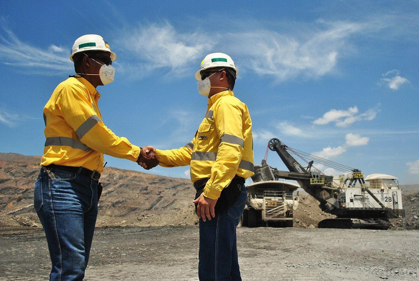 The Coal Miners Help The Scien is listed (or ranked) 12 on the list Inside The Coal Mine That Revealed Proof Of A Prehistoric Mega-Snake In A Land Of Enormous Reptiles