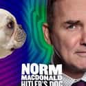 Norm Macdonald: Hitler's Dog, Gossip, and Trickery on Random Best Netflix Stand Up Comedy Specials