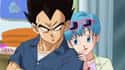 Bulma & Vegeta - 'Dragon Ball Z' on Random Interspecies Relationships in Anime History