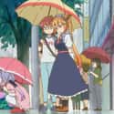 Miss Kobayashi & Tohru - 'Miss Kobayashi's Dragon Maid' on Random Interspecies Relationships in Anime History