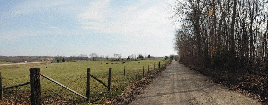 The Haunted Women Of Missouri