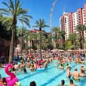 Go Pool Dayclub on Random Best Day Clubs In Las Vegas