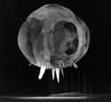 1950s: Harold Edgerton's Photograph Of A Nuclear Detonation Test At Three Millionths Of A Second  on Random Utterly Fascinating Photos That Weren't In Our History Textbooks