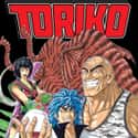 Toriko on Random Best Shonen Jump Manga