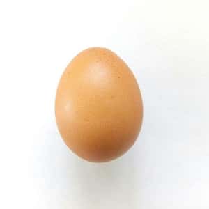 The Instagram Egg