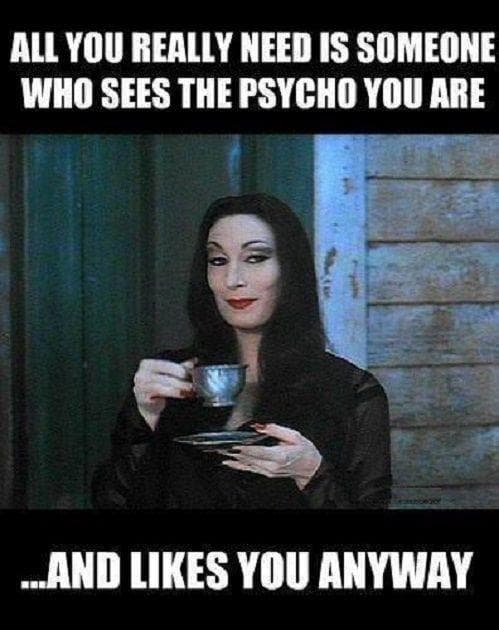 Funny Addams Family Memes