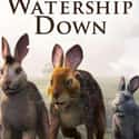 Watership Down on Random Best Original Streaming Shows