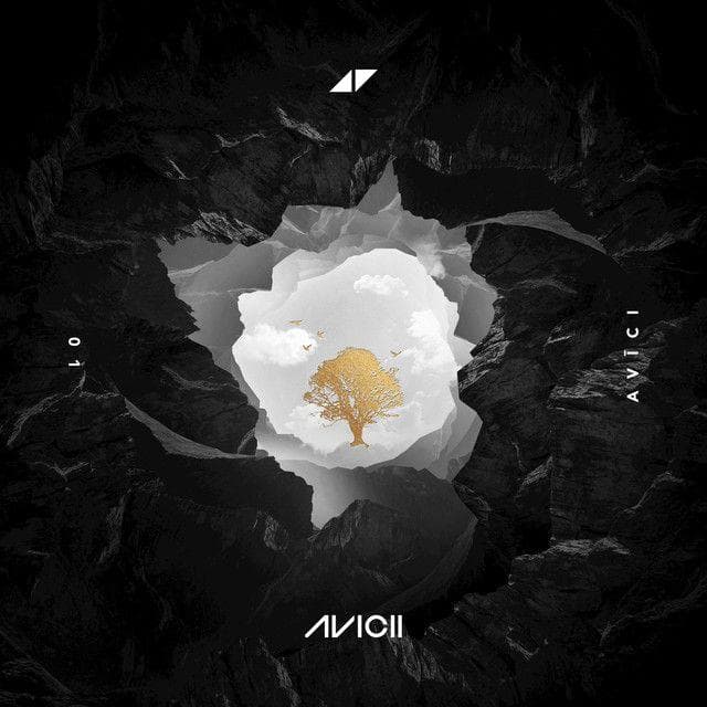 Ranking All Avicii Albums, Best To Worst