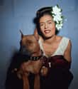Billie Holiday And Her Dog Named Mister, 1947 on Random Colorized Photos You Never Saw In Your Textbooks