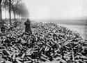 105mm Shells From An Allied Attack On German Lines, 1916 on Random Fascinating History Photos Your Teacher Never Showed You In Class