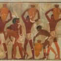 The Egyptians Both Produced And Imported Large Amounts Of Wine on Random Foods Ancient Egyptians Actually Eat
