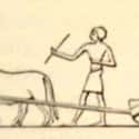 Rudimentary Sledges Helped Drag Material Across The Egyptian Desert on Random Things About How Ancient Egyptians Transported Blocks To Build Pyramids
