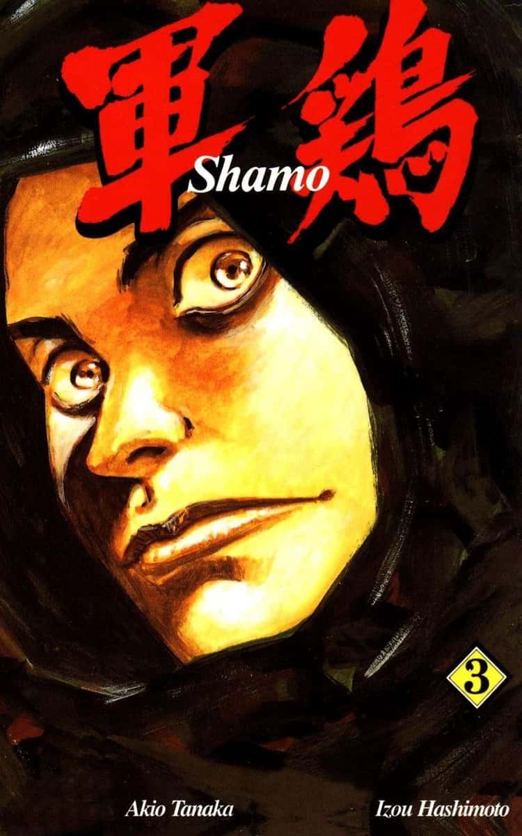 The 13 Best Manga Like Vagabond Recommendations 2019
