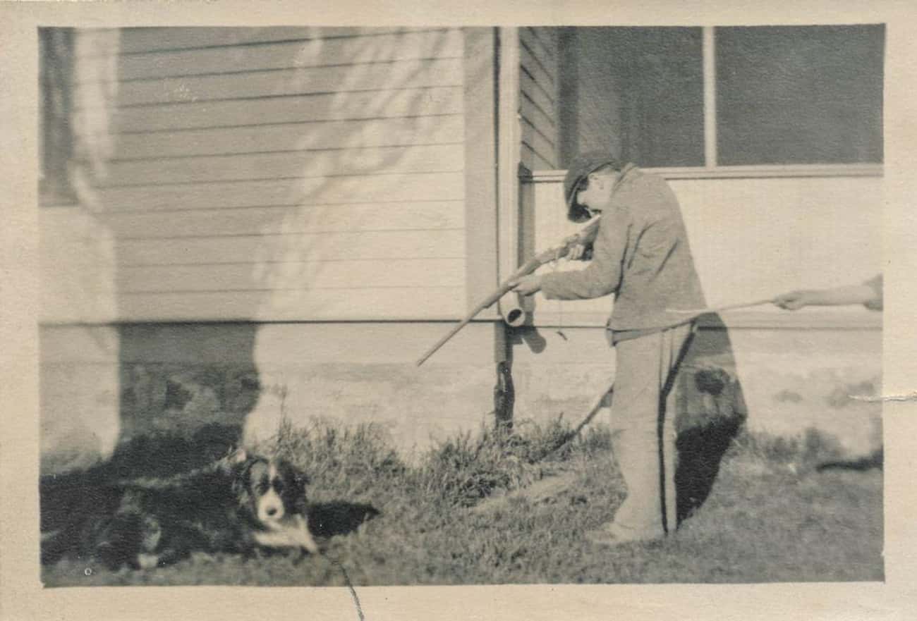 Boy Aims His Toy Rifle At His Dog 