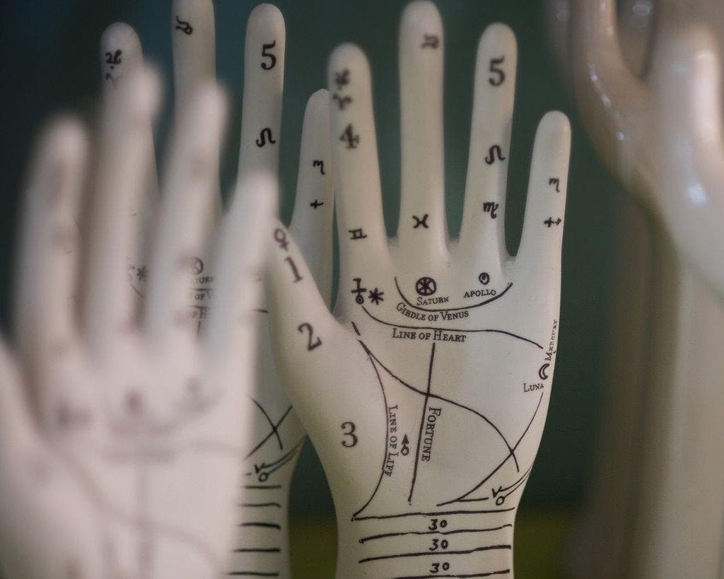 How To Read Palms A Guide To The Lines On Your Hand