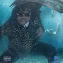 Drip or Drown 2 is listed (or ranked) 14 on the list The Best Debut Albums of 2019