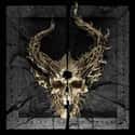 War is listed (or ranked) 17 on the list The Best Heavy Metal Albums of 2019