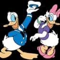 Daisy & Donald on Random Greatest Cartoon Couples In TV History