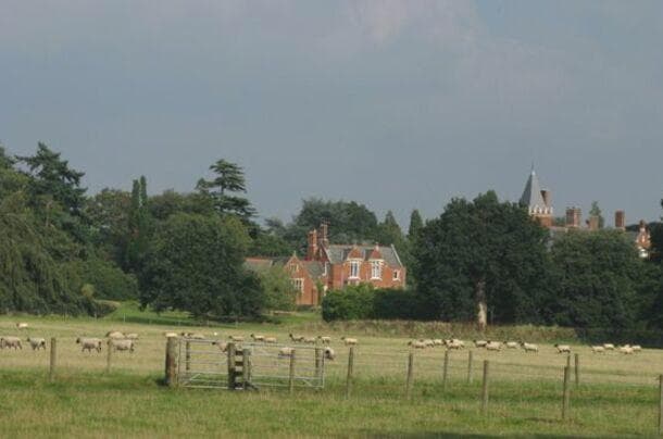 Бэгшот парк в суррее