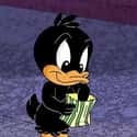 Baby Daffy on Random Cutest Cartoon Ducks