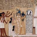 Fragrances Were Essential To The Process For Several Reasons on Random Things About A Day In Life Of An Egyptian Embalmer