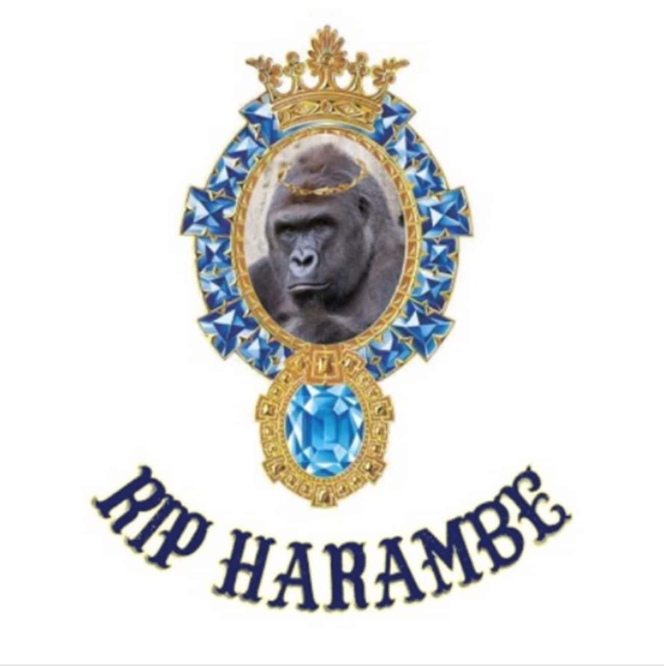 Musk Released A Rap Song Called 'RIP Harambe' On Soundcloud